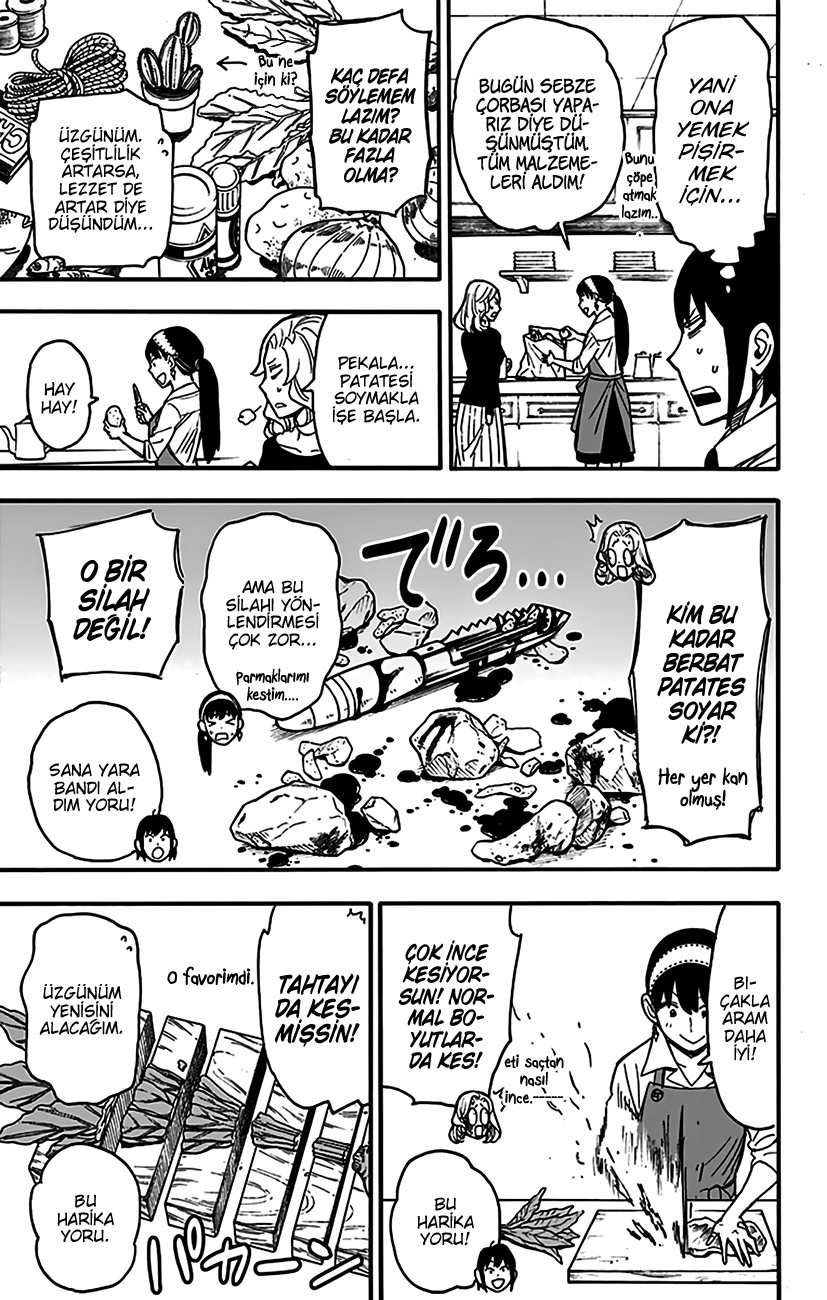 Read SPYxFAMILY TR Manga Online