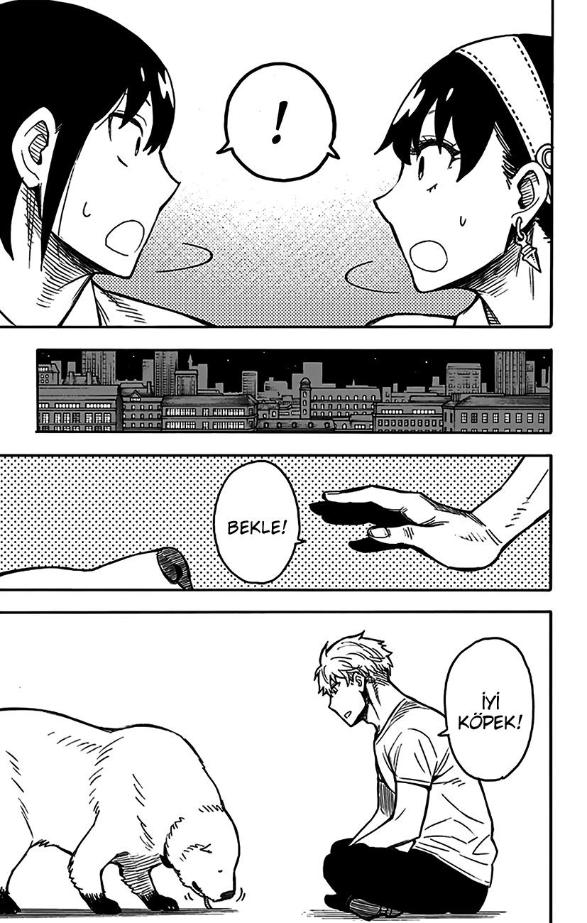 Read SPYxFAMILY TR Manga Online
