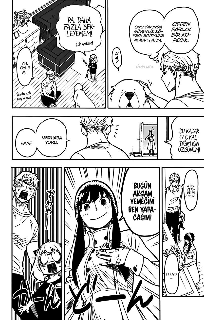Read SPYxFAMILY TR Manga Online