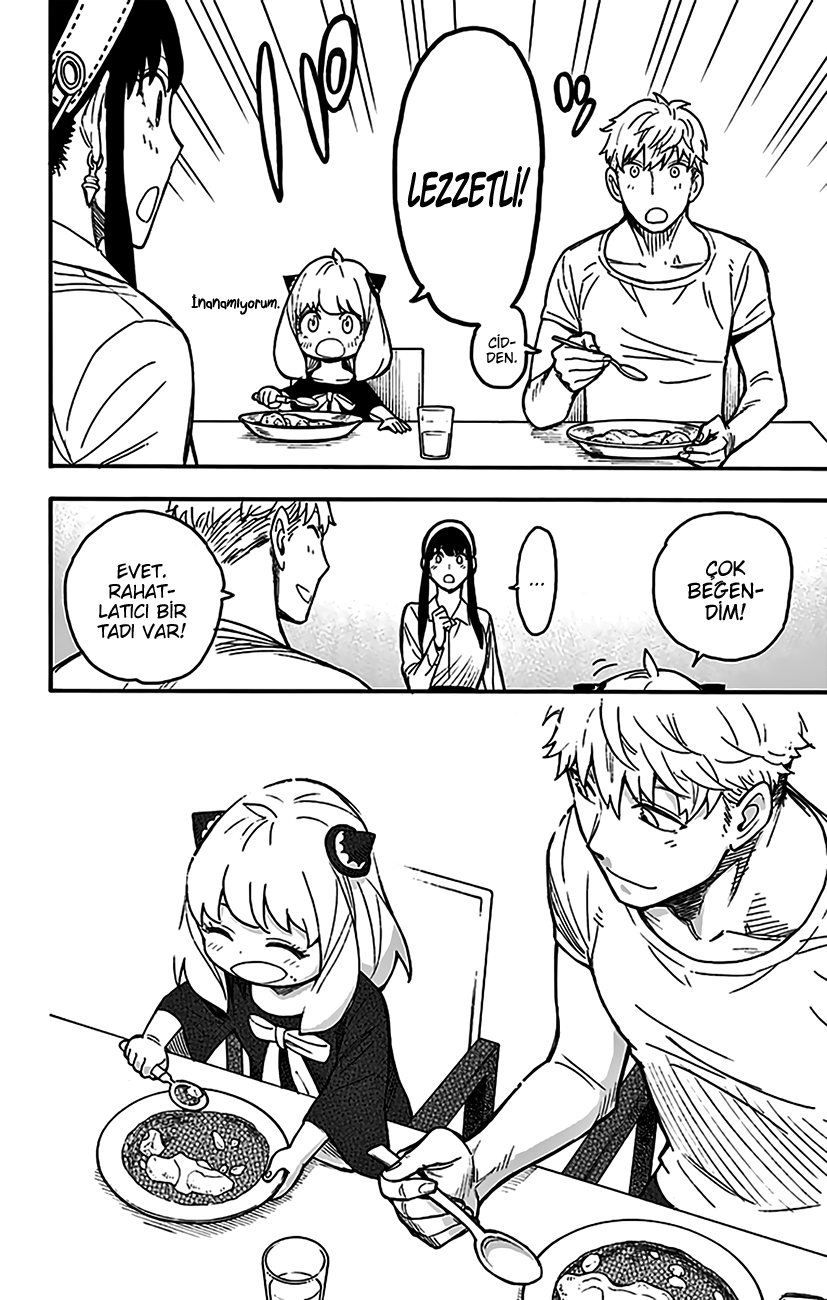 Read SPYxFAMILY TR Manga Online