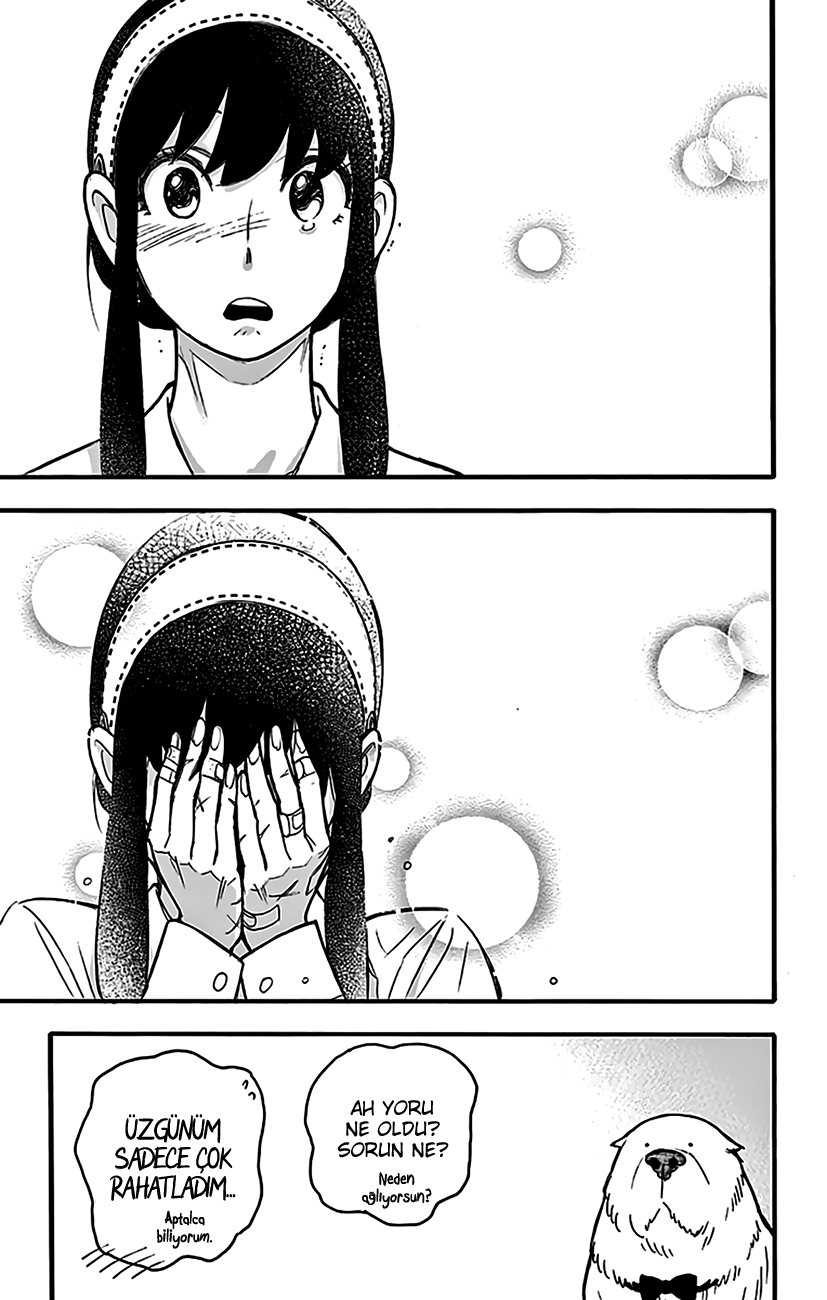 Read SPYxFAMILY TR Manga Online