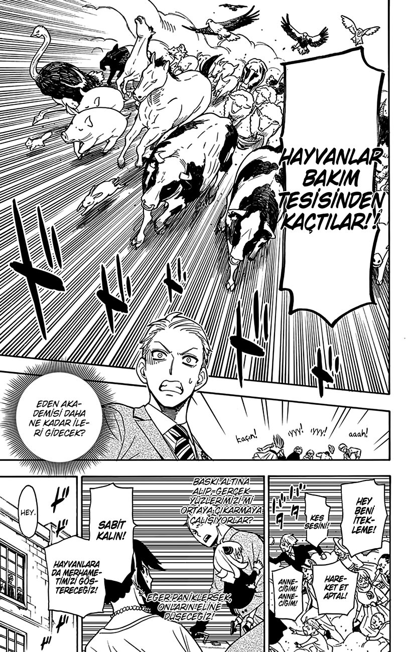 Read SPYxFAMILY TR Manga Online