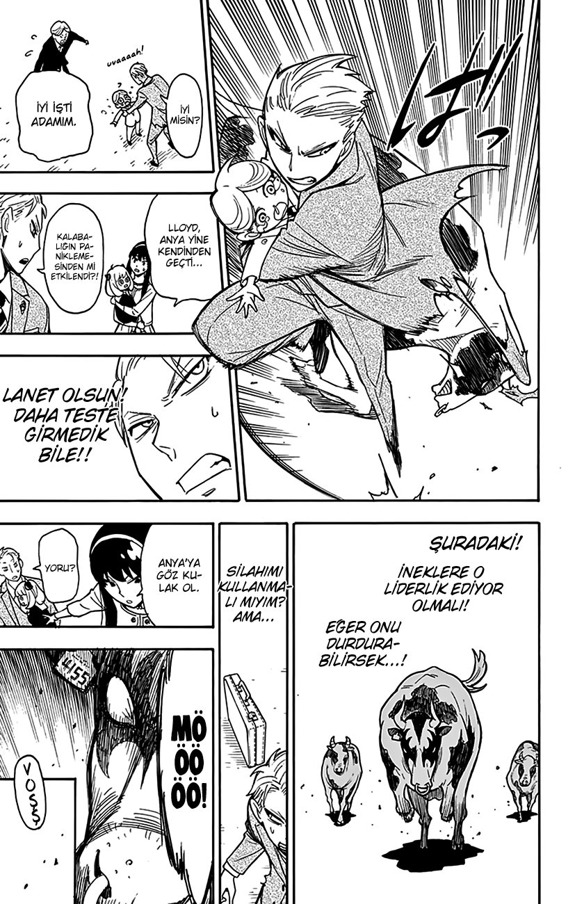 Read SPYxFAMILY TR Manga Online