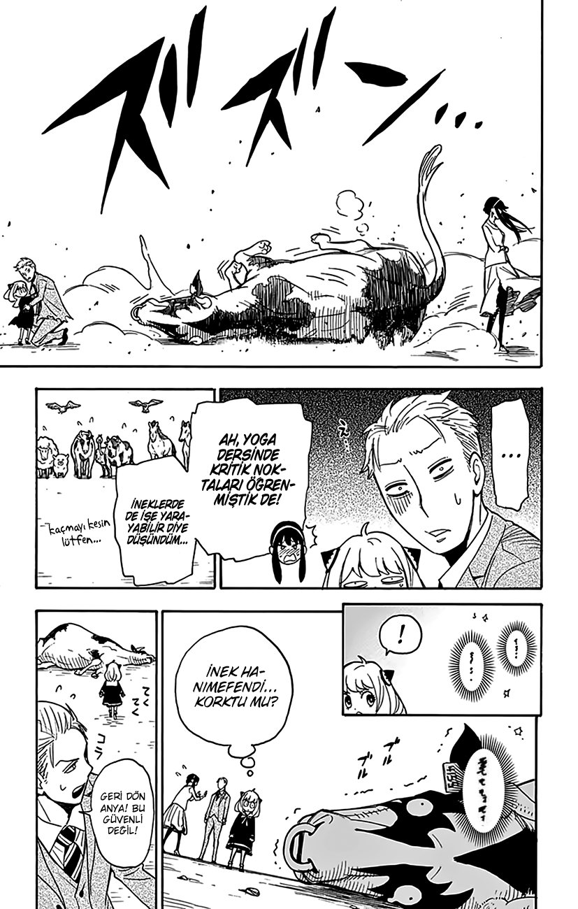 Read SPYxFAMILY TR Manga Online