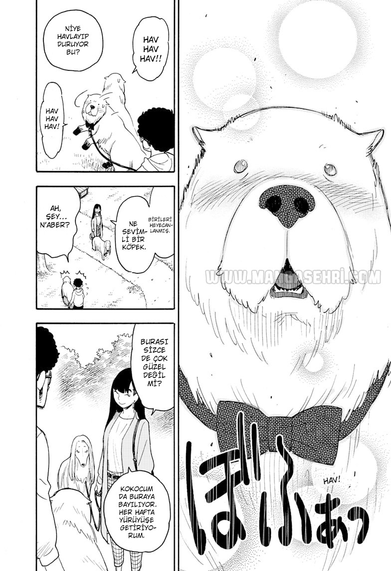 Read SPYxFAMILY TR Manga Online