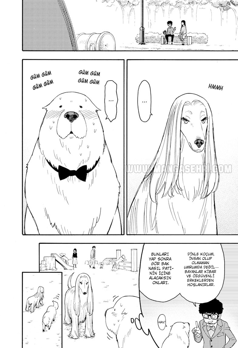 Read SPYxFAMILY TR Manga Online