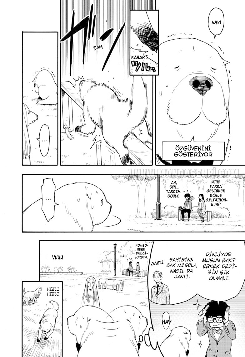 Read SPYxFAMILY TR Manga Online