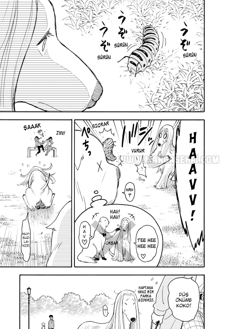 Read SPYxFAMILY TR Manga Online