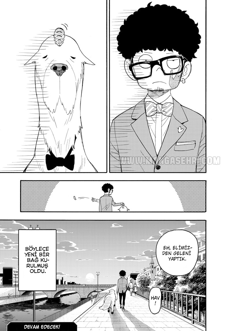 Read SPYxFAMILY TR Manga Online