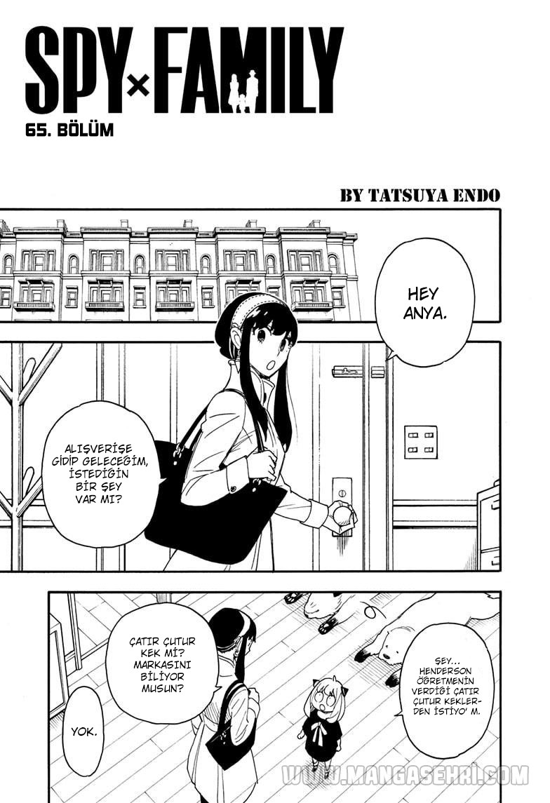 Read SPYxFAMILY TR Manga Online