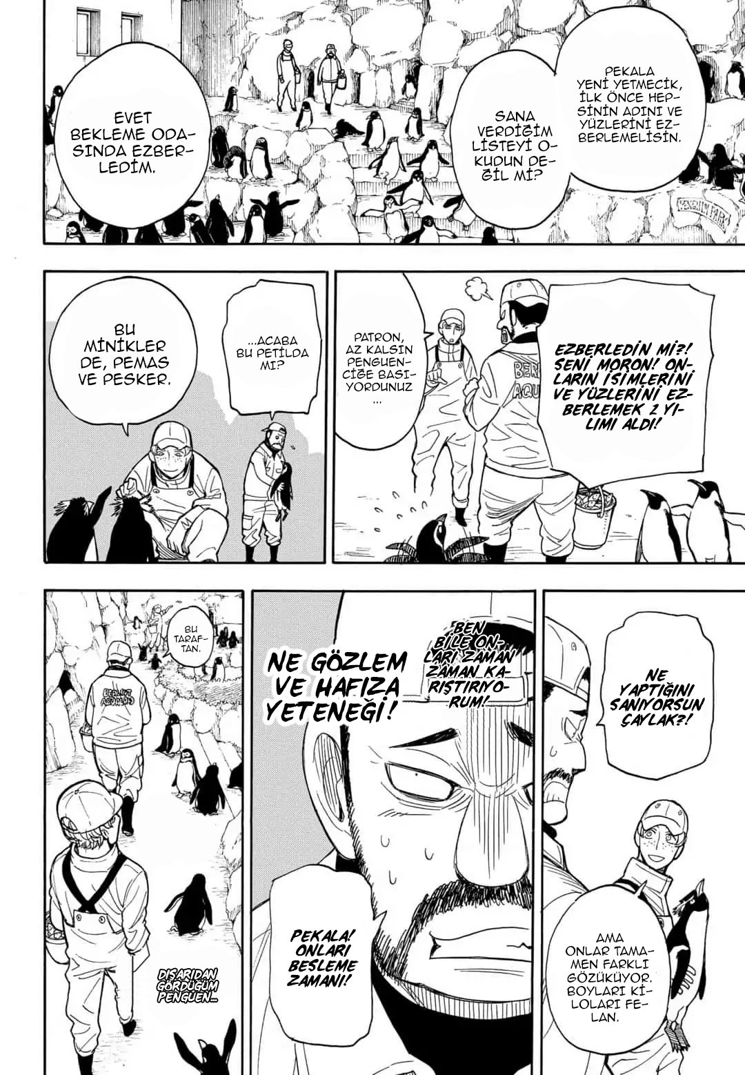 Read SPYxFAMILY TR Manga Online