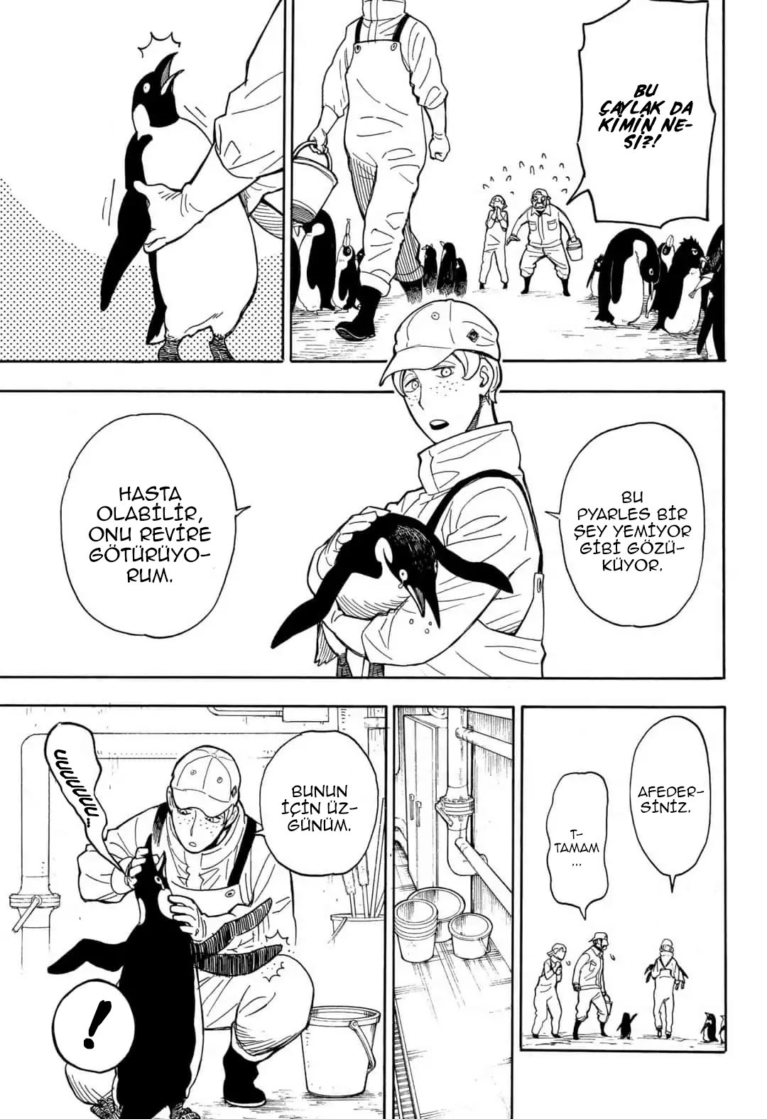 Read SPYxFAMILY TR Manga Online