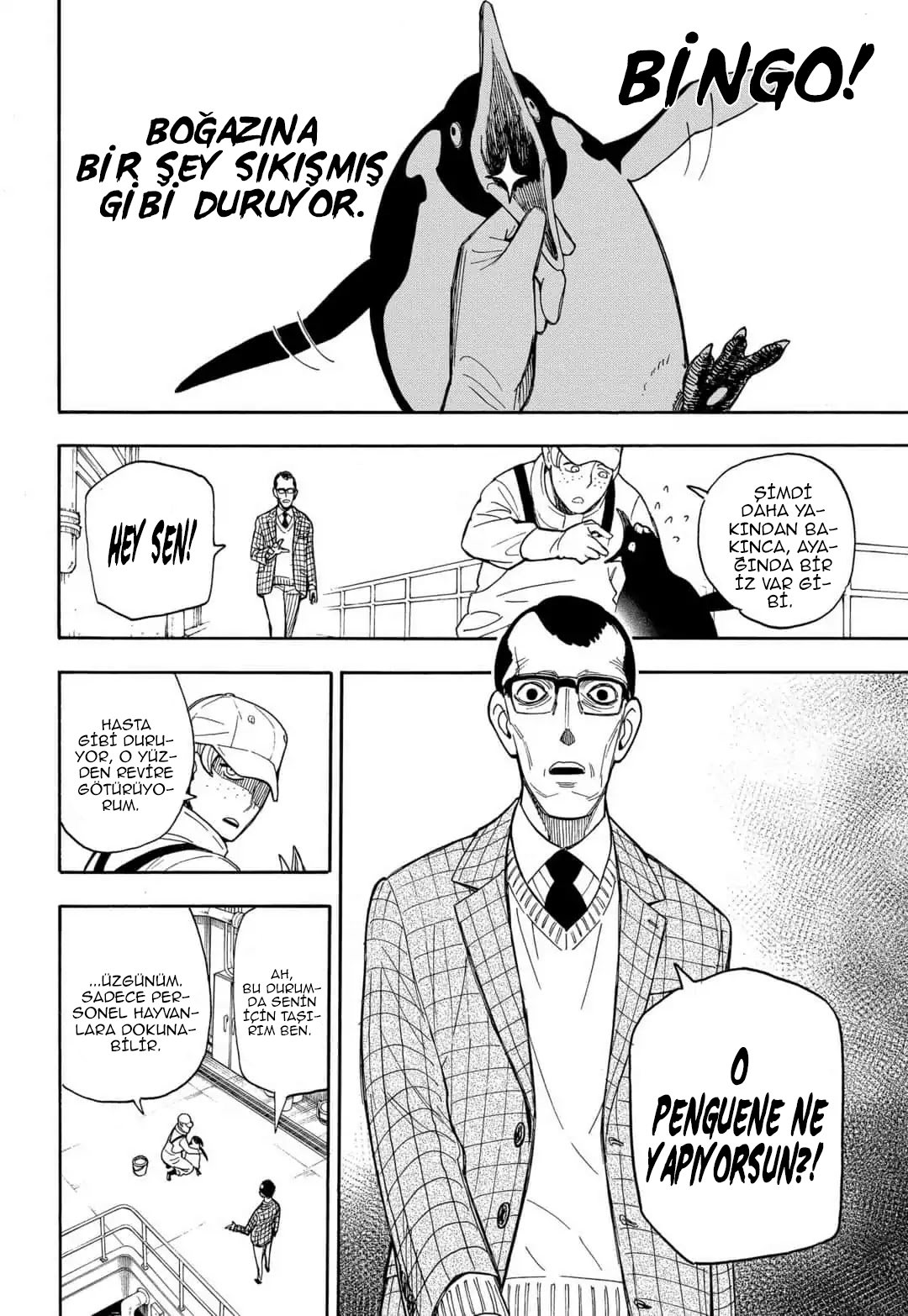 Read SPYxFAMILY TR Manga Online