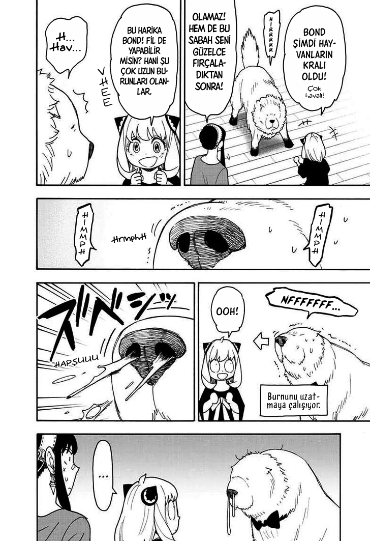 Read SPYxFAMILY TR Manga Online