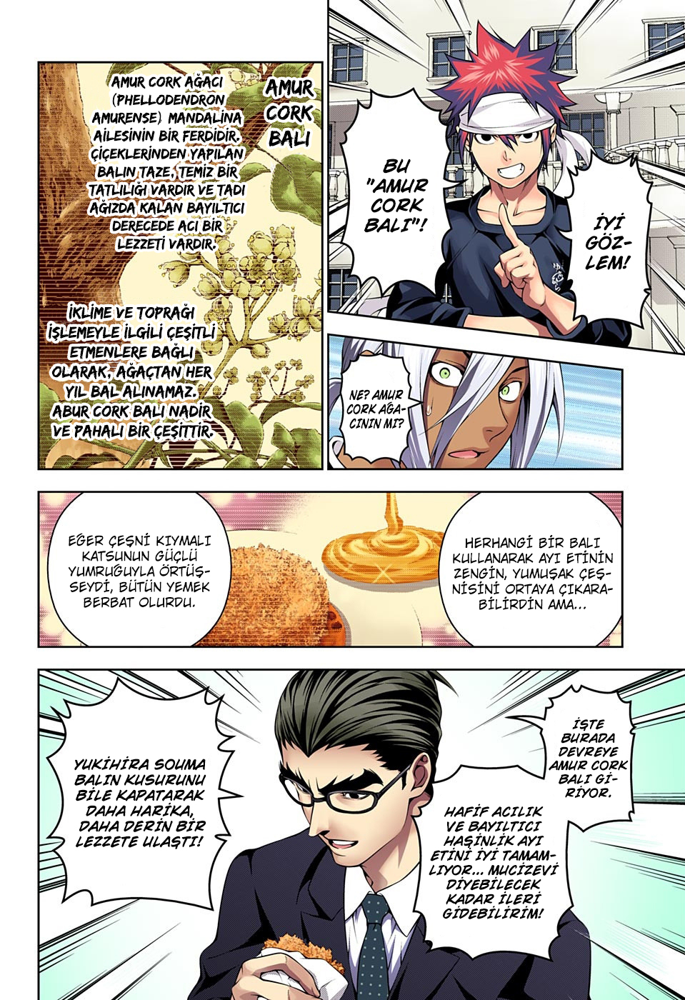 Read Shokugeki no Souma TR Manga Online