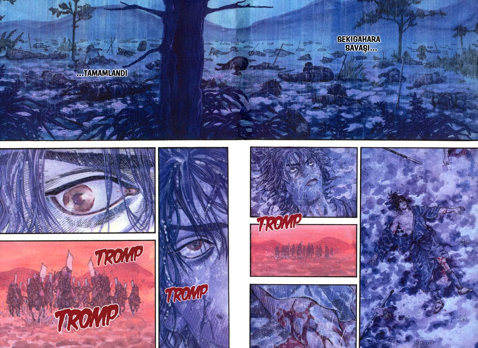Read Vagabond TR Manga Online