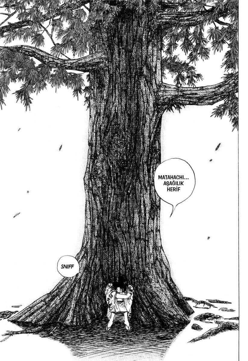 Read Vagabond TR Manga Online