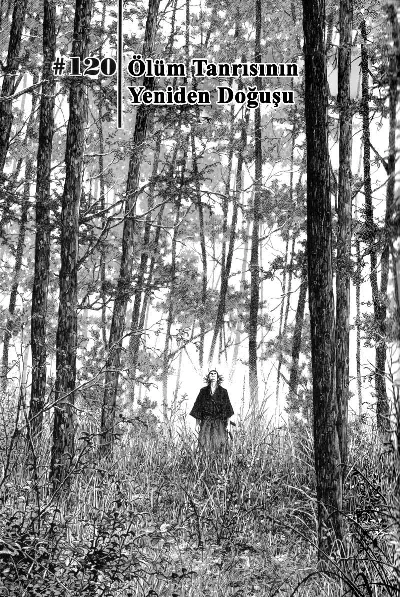 Read Vagabond TR Manga Online