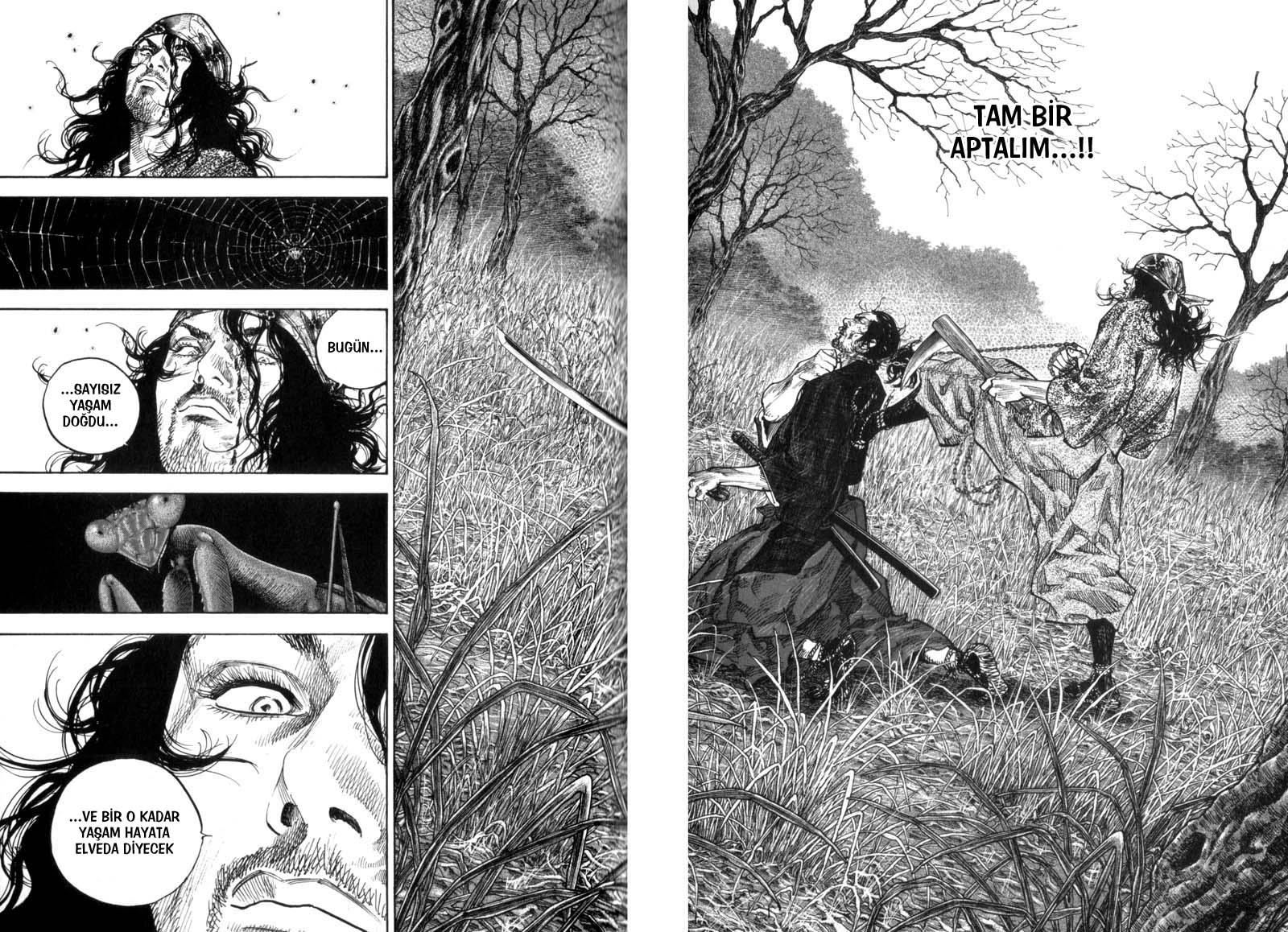 Read Vagabond TR Manga Online