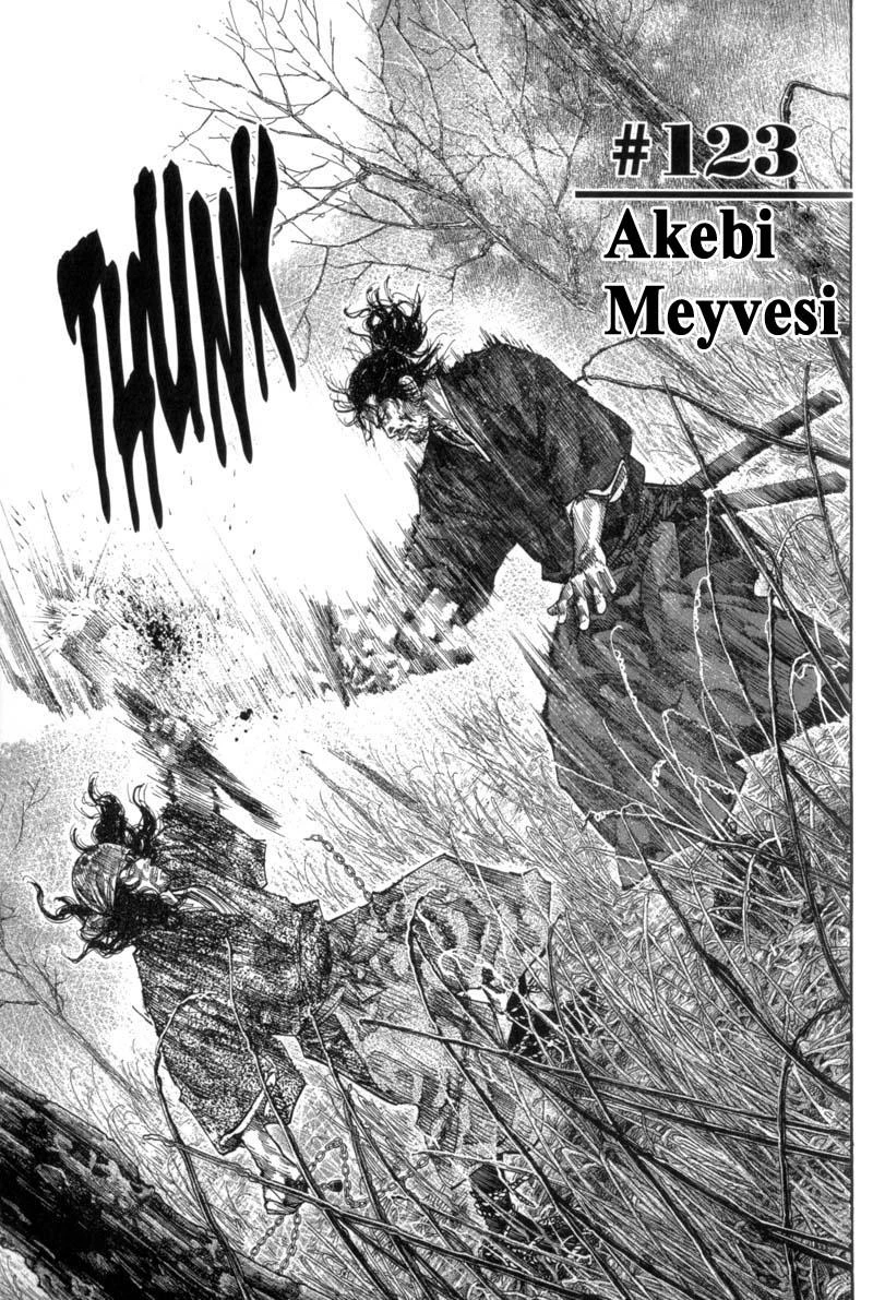 Read Vagabond TR Manga Online