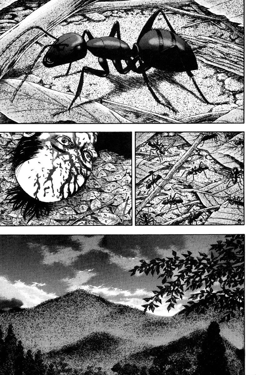 Read Vagabond TR Manga Online