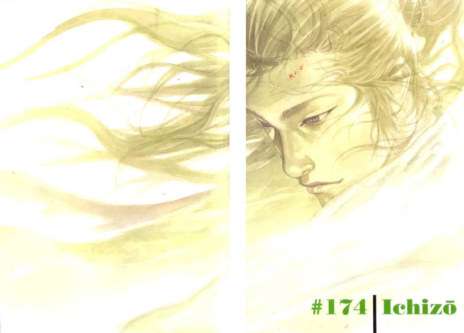 Read Vagabond TR Manga Online