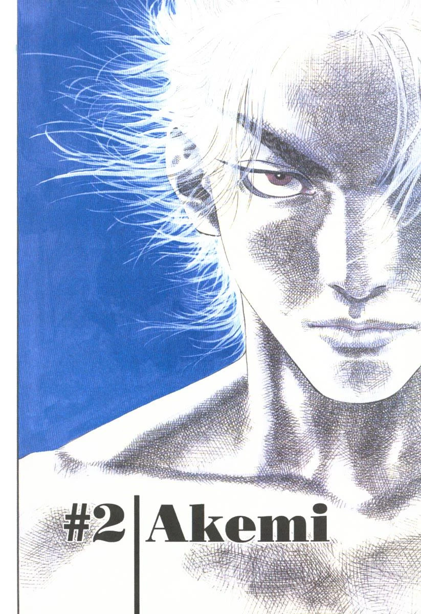 Read Vagabond TR Manga Online