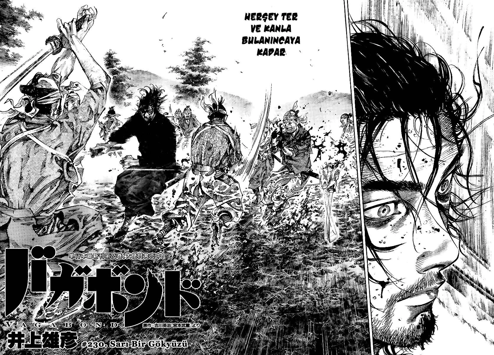 Read Vagabond TR Manga Online