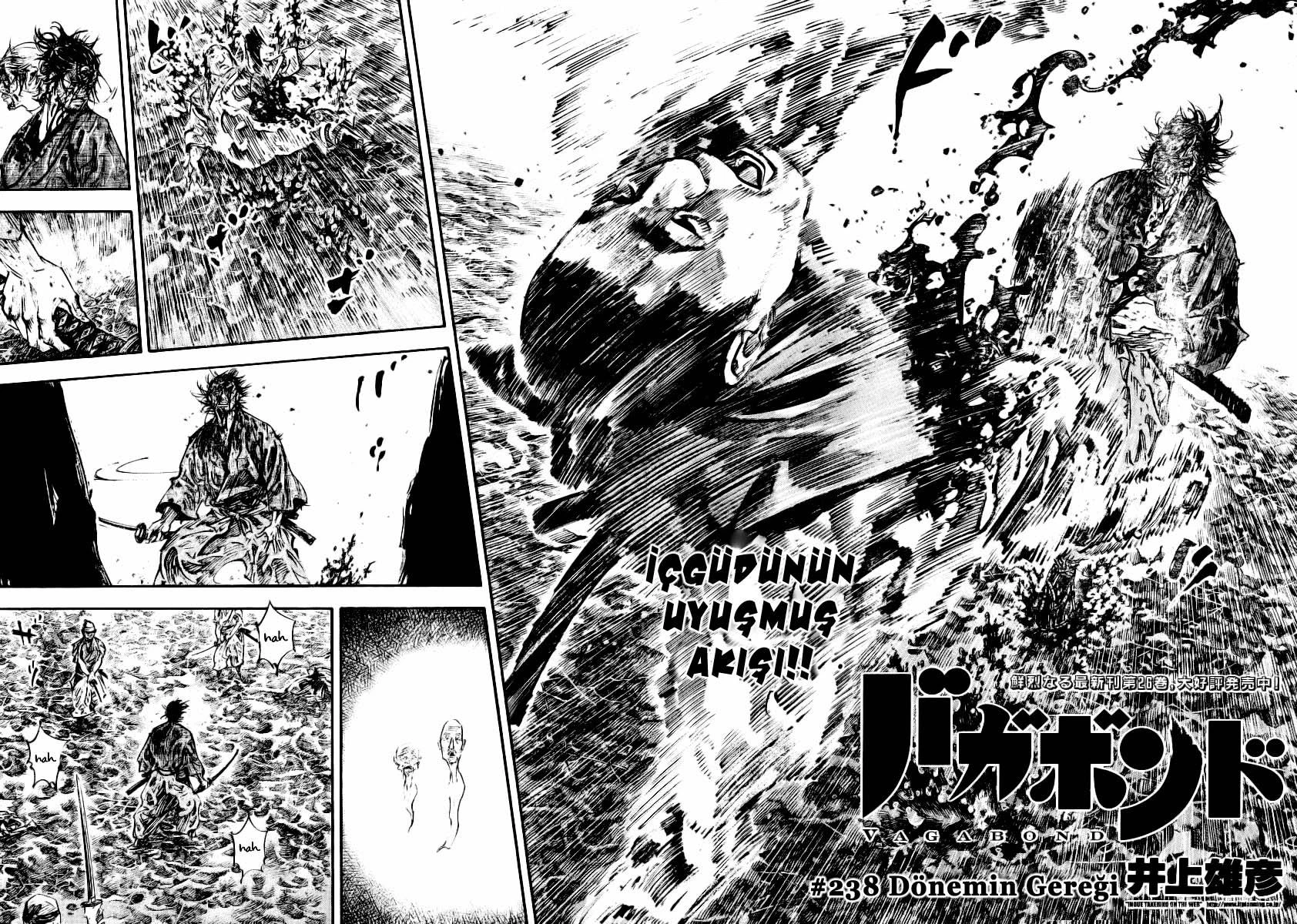 Read Vagabond TR Manga Online