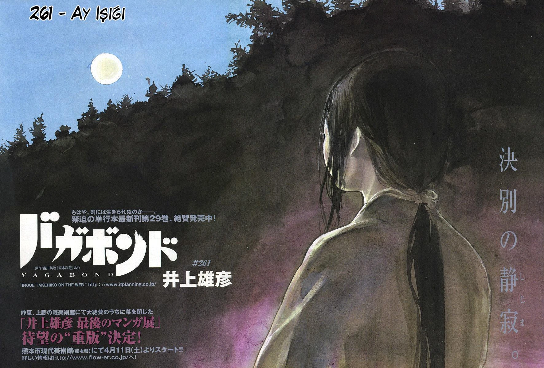 Read Vagabond TR Manga Online