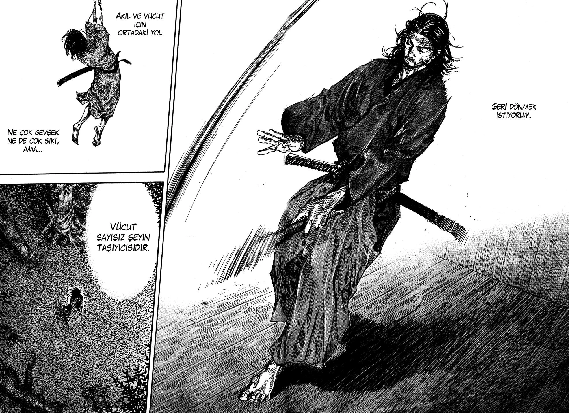 Read Vagabond TR Manga Online