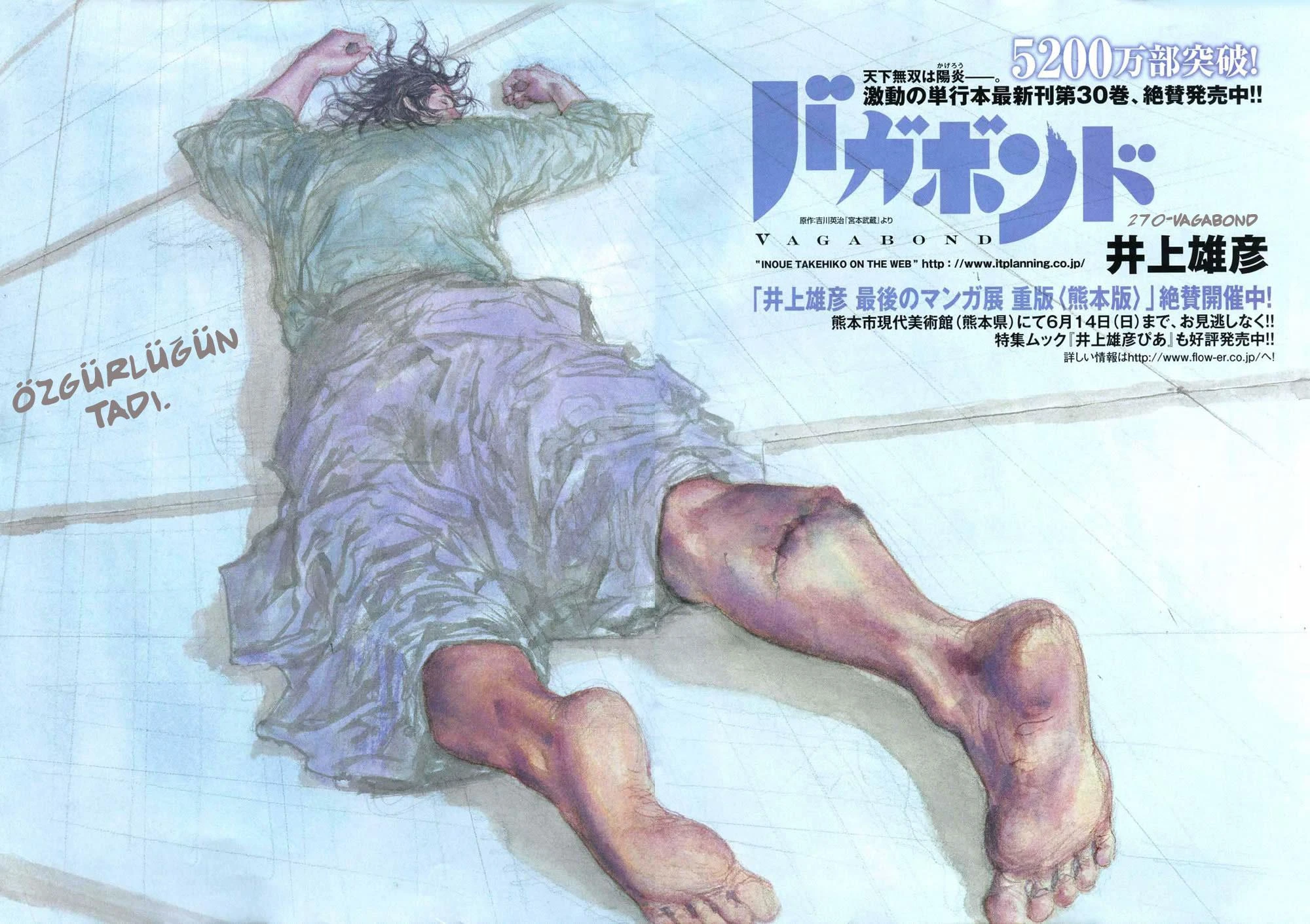 Read Vagabond TR Manga Online