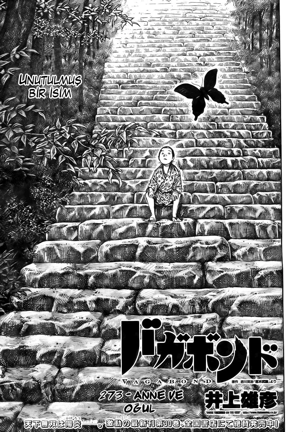 Read Vagabond TR Manga Online
