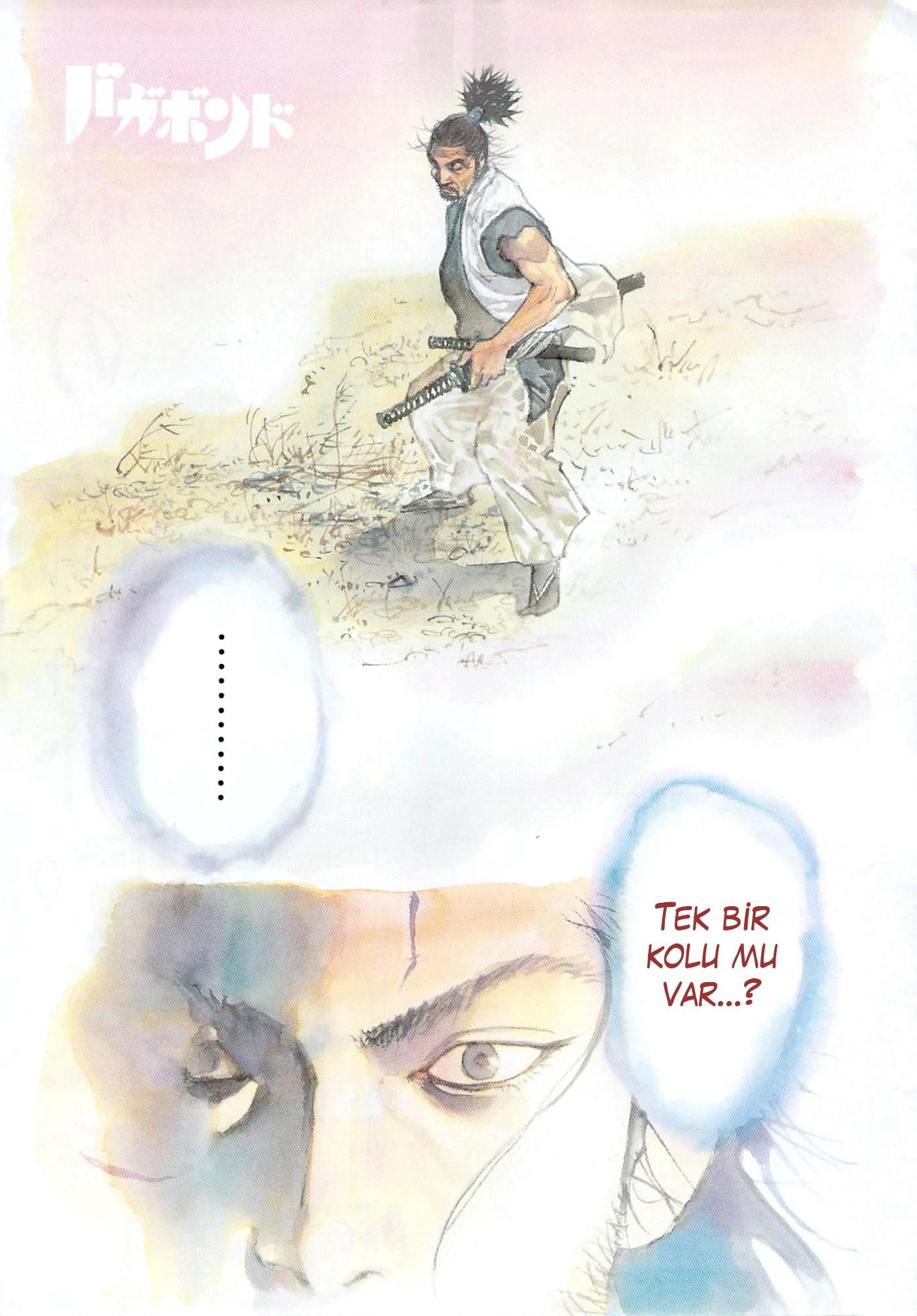 Read Vagabond TR Manga Online