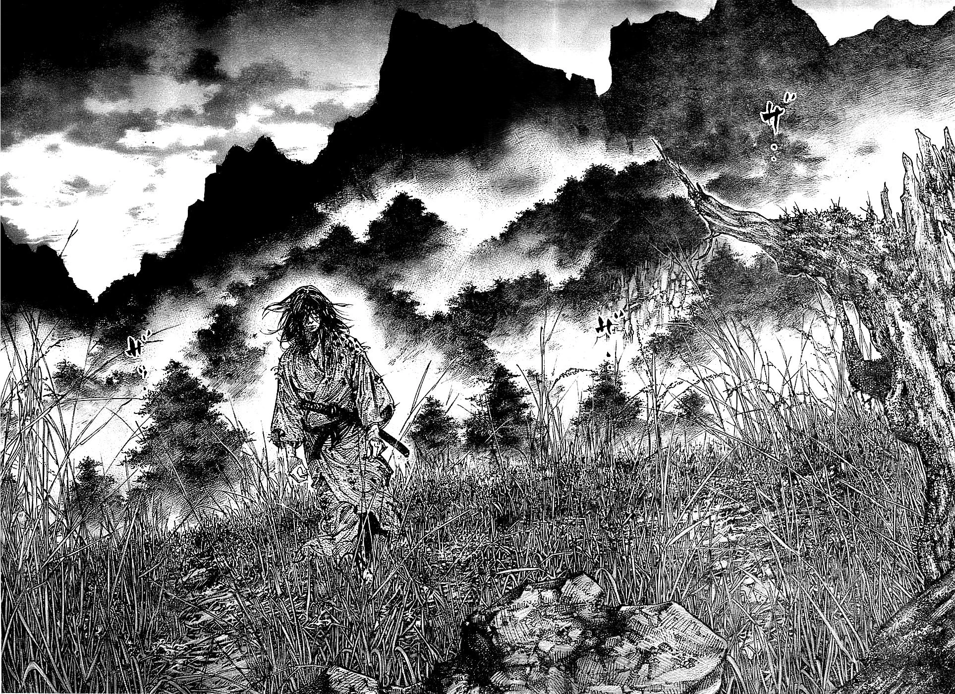 Read Vagabond TR Manga Online