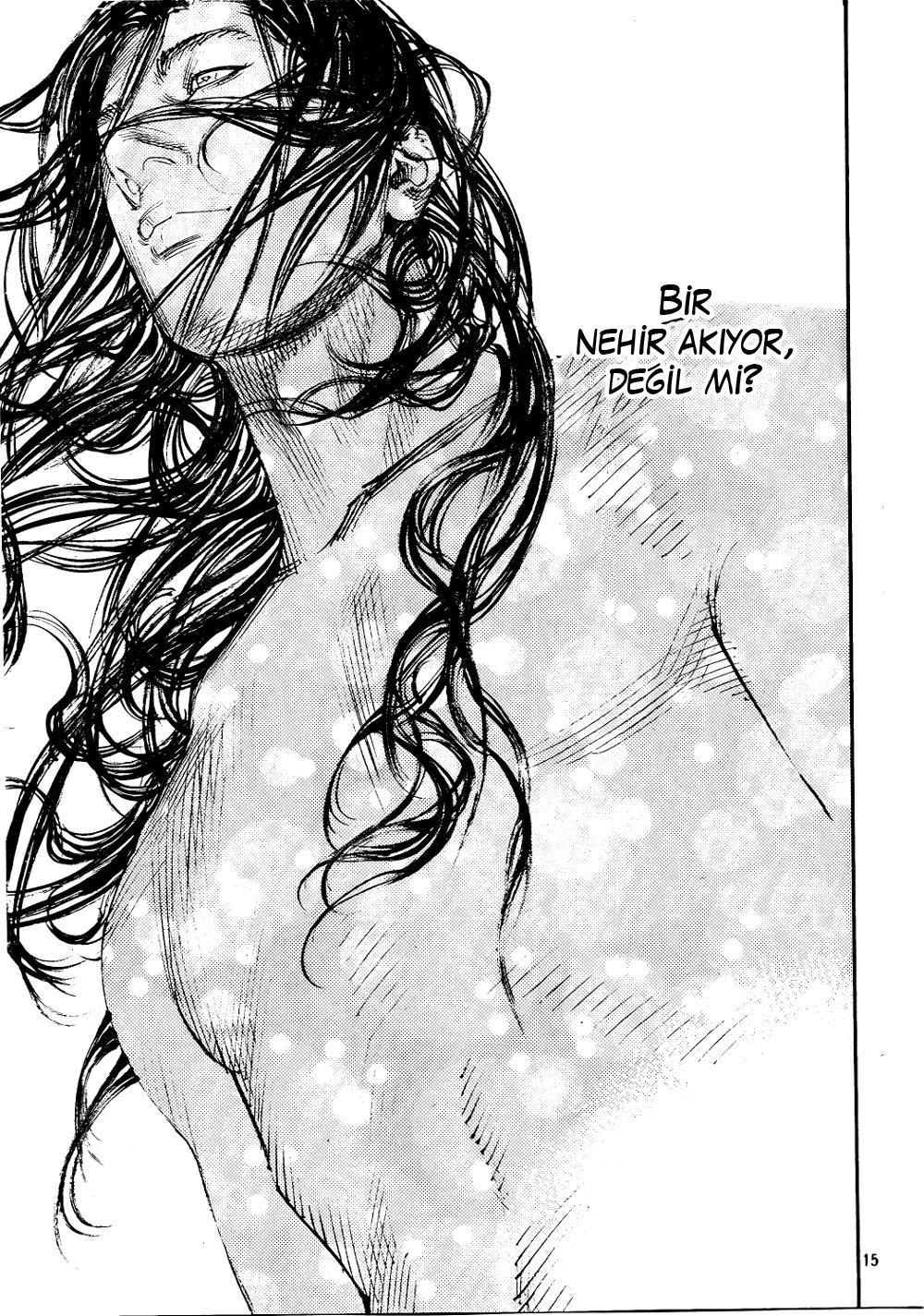 Read Vagabond TR Manga Online