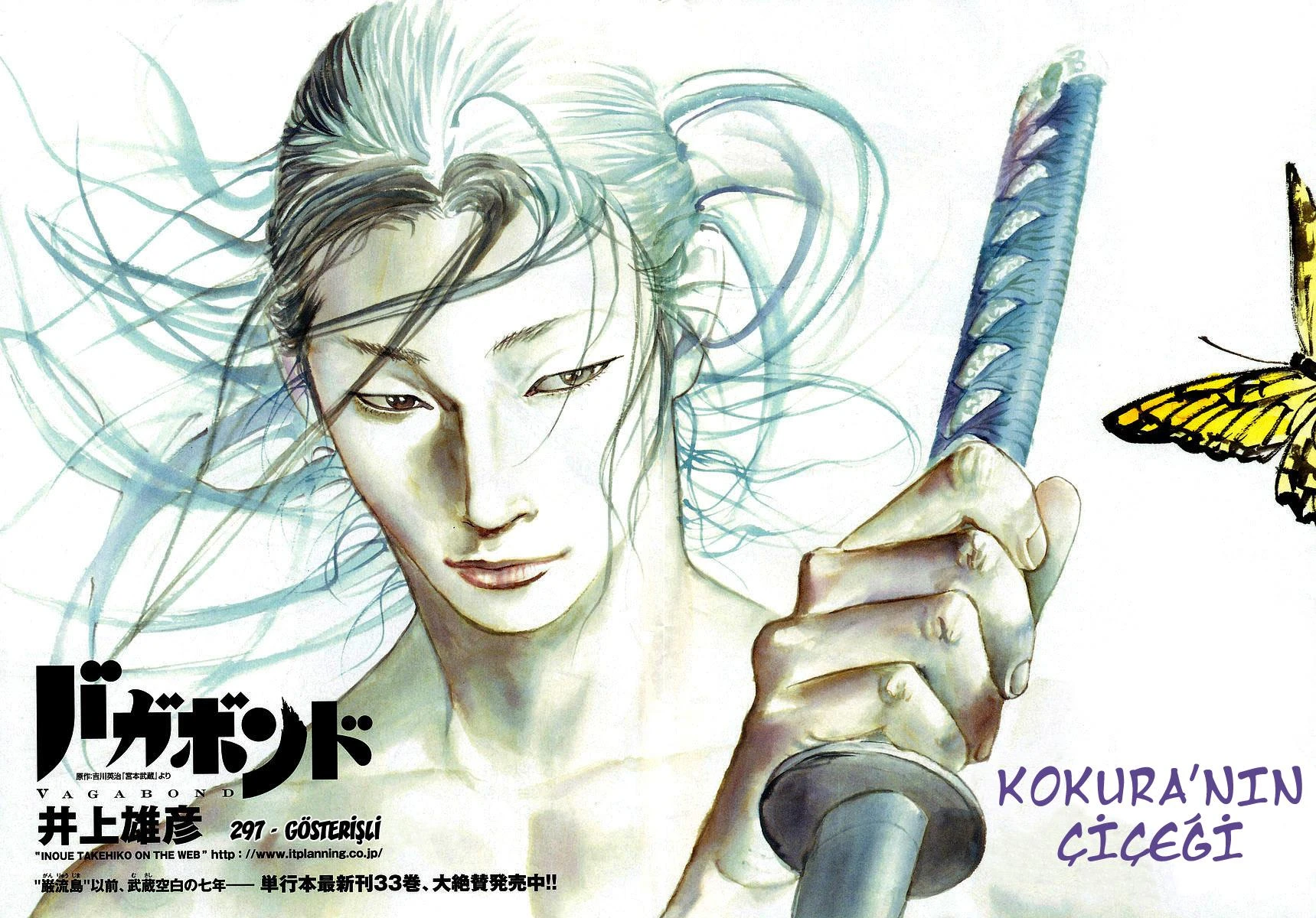 Read Vagabond TR Manga Online