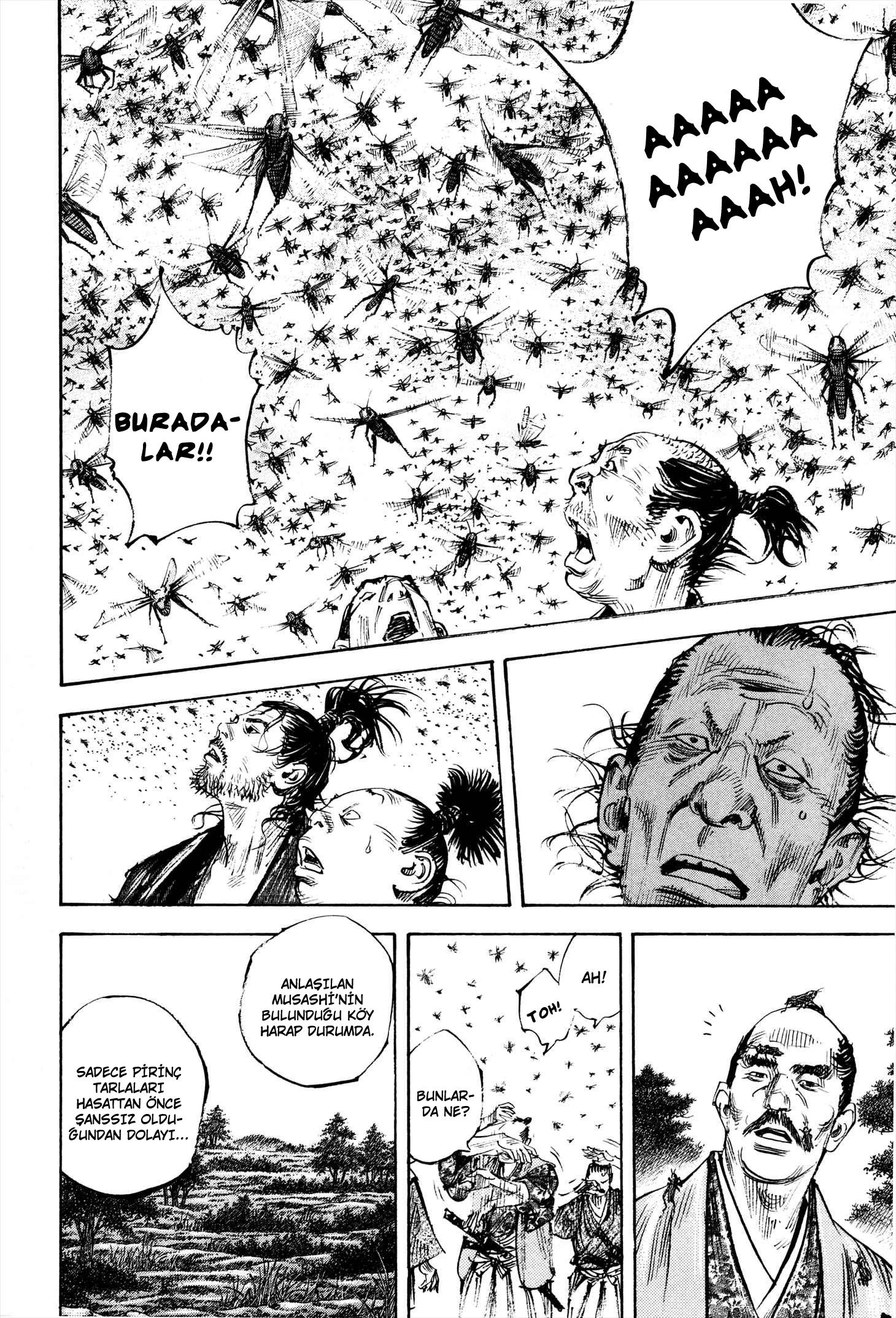 Read Vagabond TR Manga Online