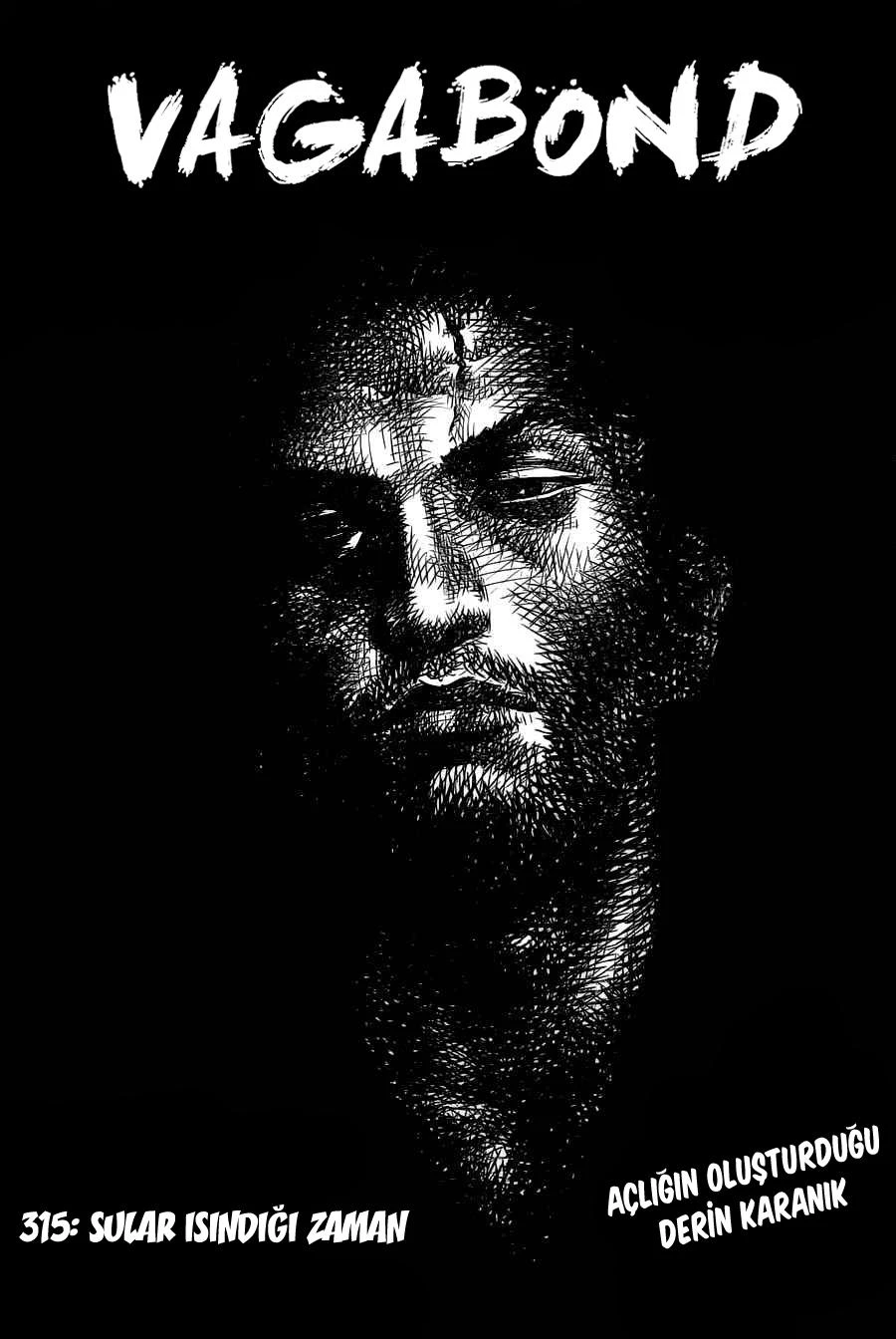 Read Vagabond TR Manga Online