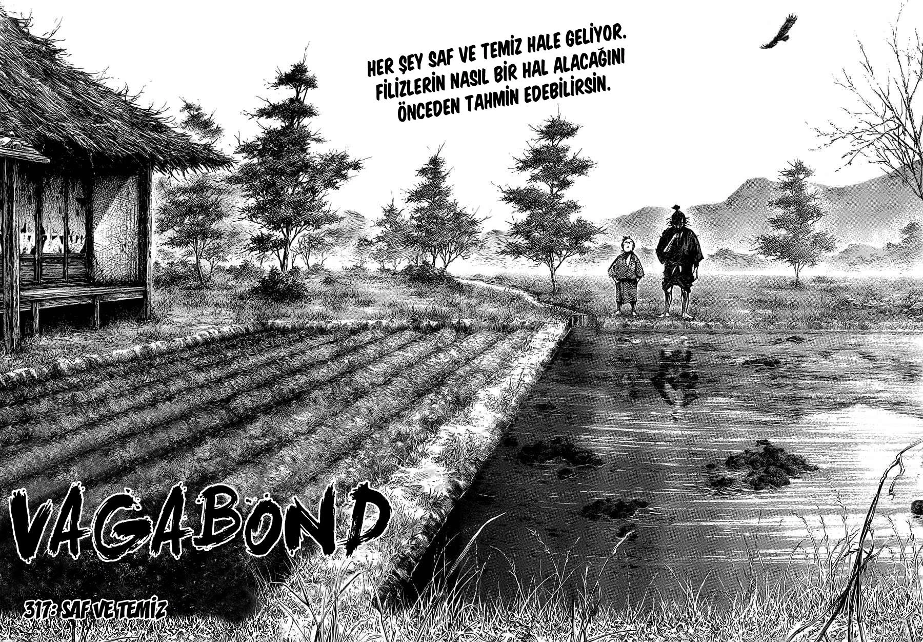 Read Vagabond TR Manga Online