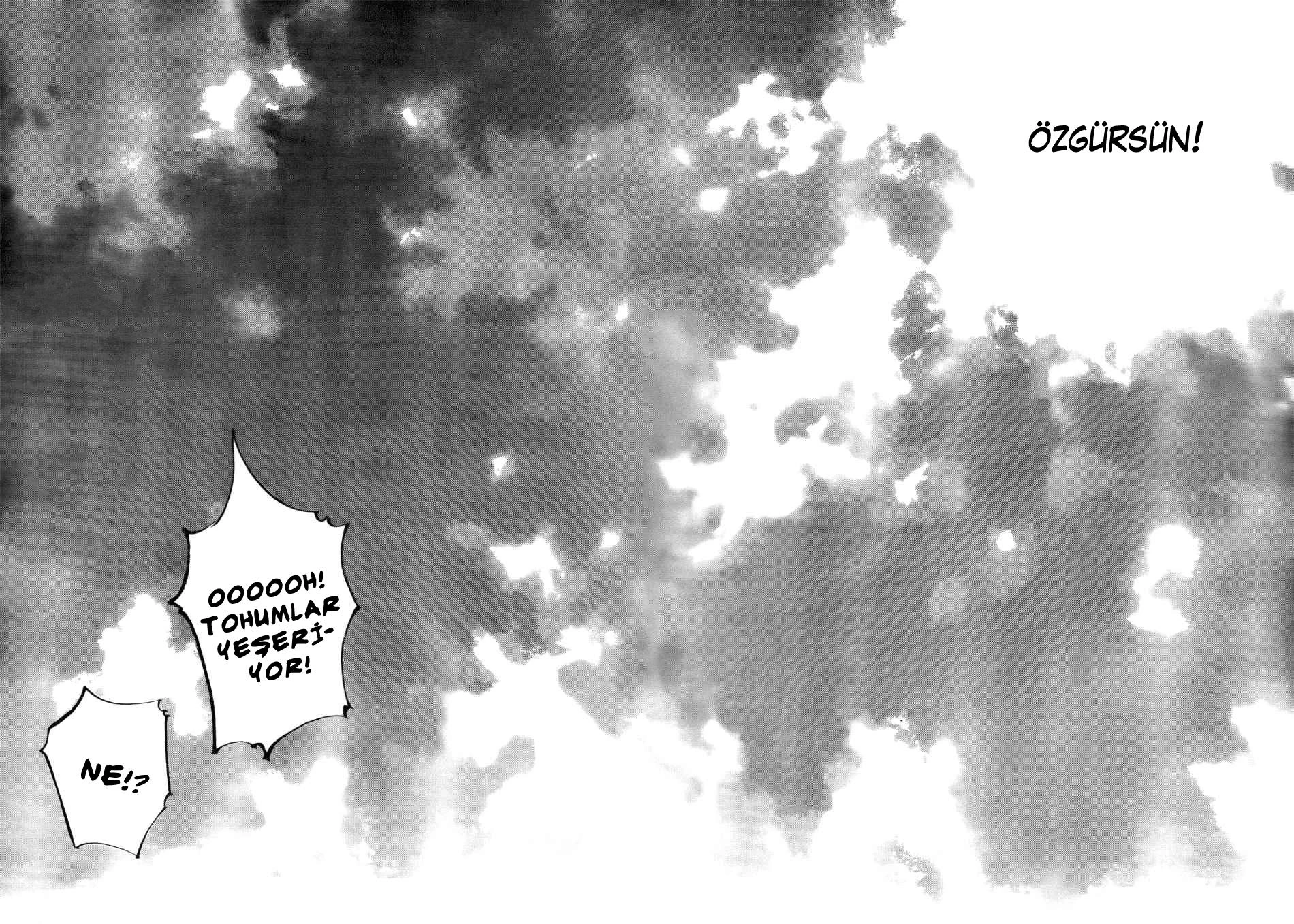 Read Vagabond TR Manga Online