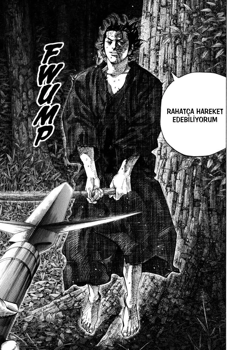 Read Vagabond TR Manga Online