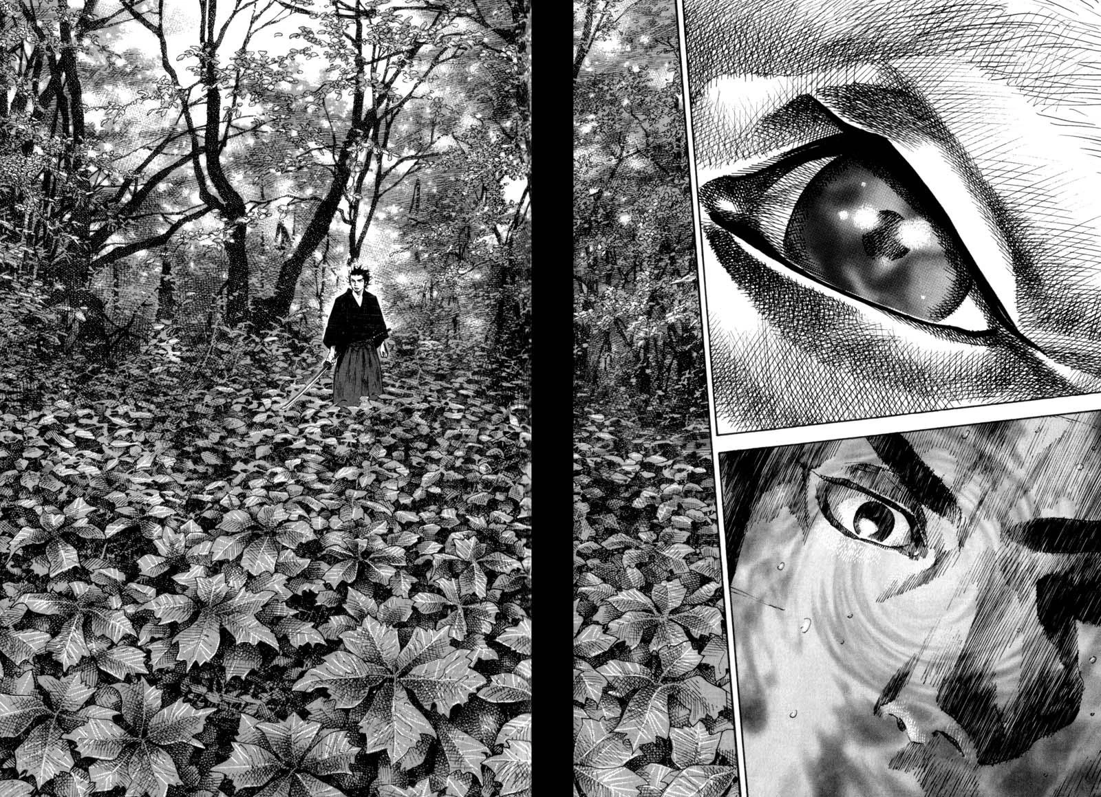 Read Vagabond TR Manga Online