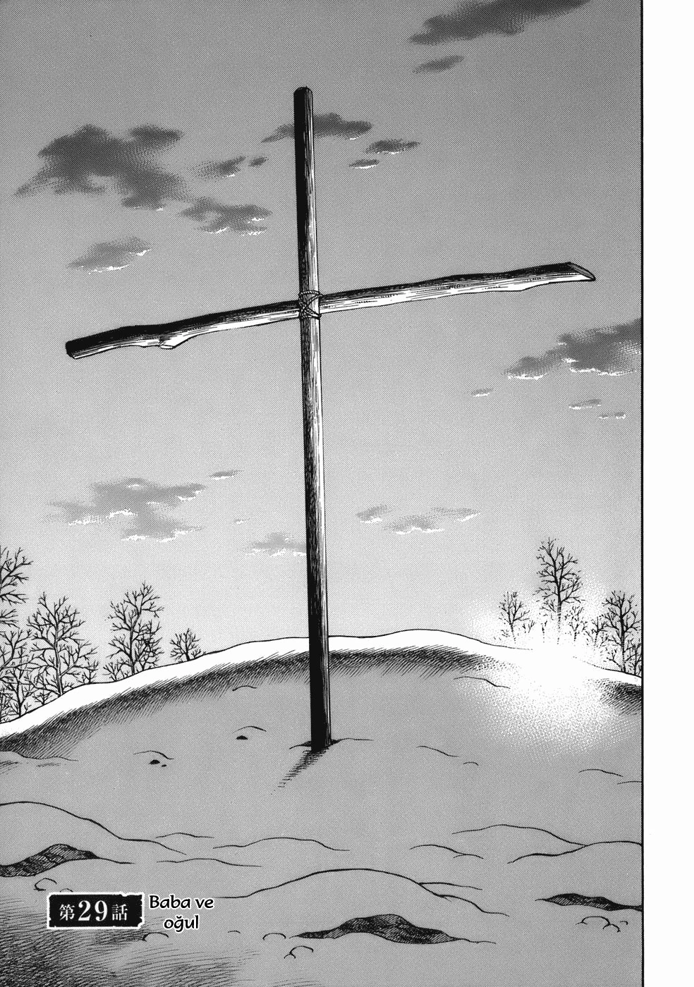 Read Vinland Saga TR Manga Online