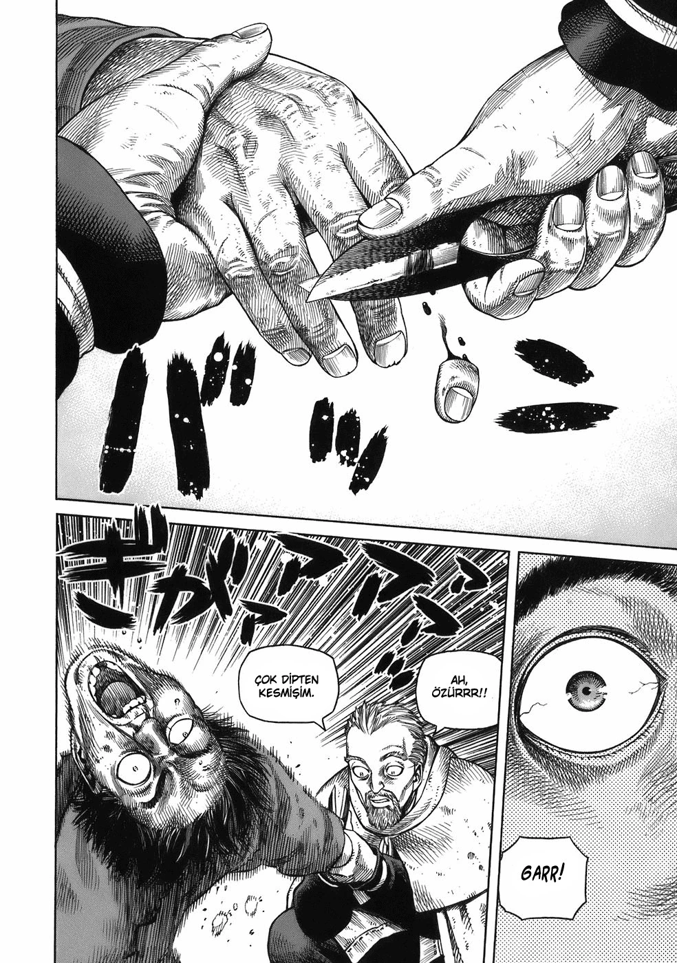 Read Vinland Saga TR Manga Online