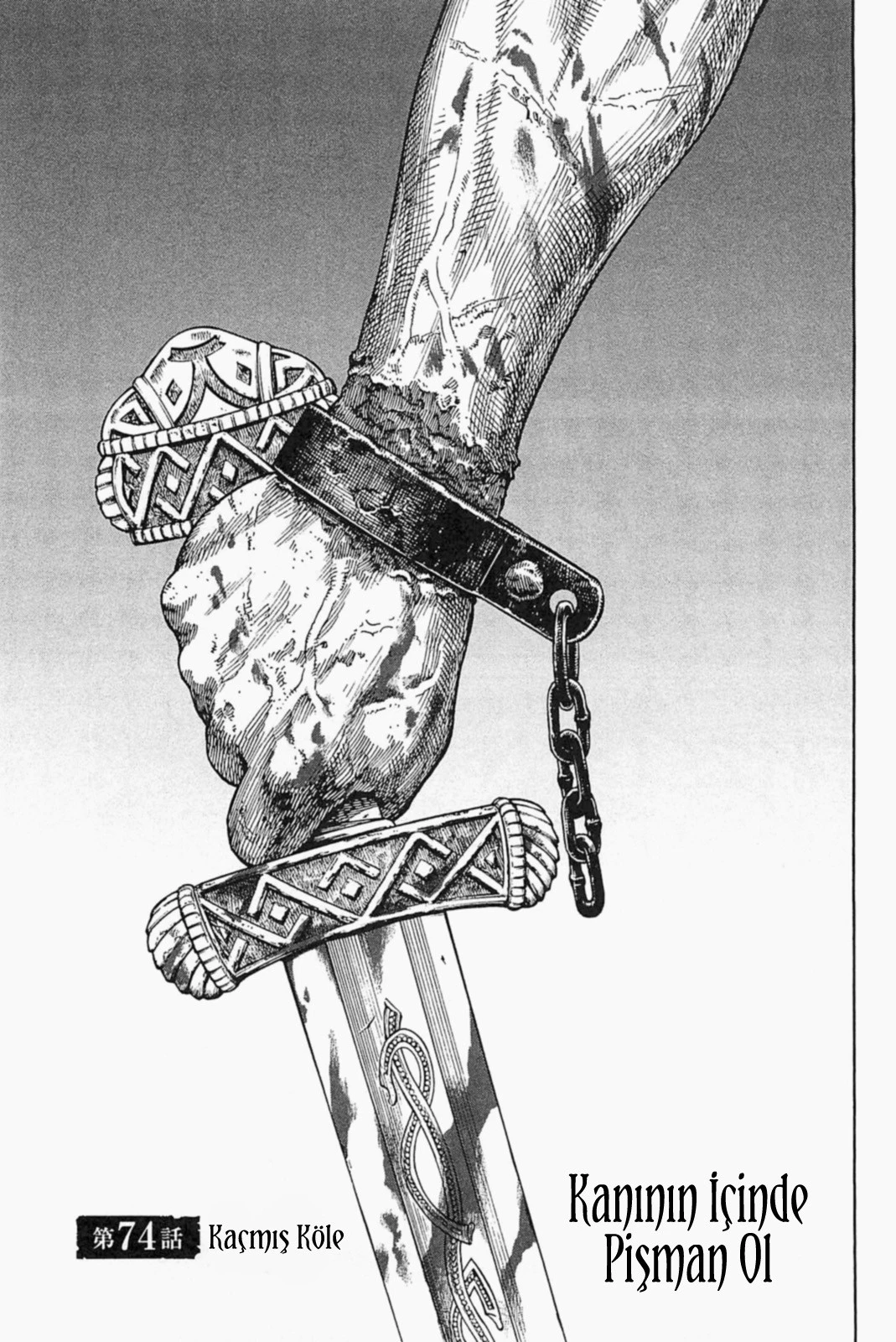 Read Vinland Saga TR Manga Online