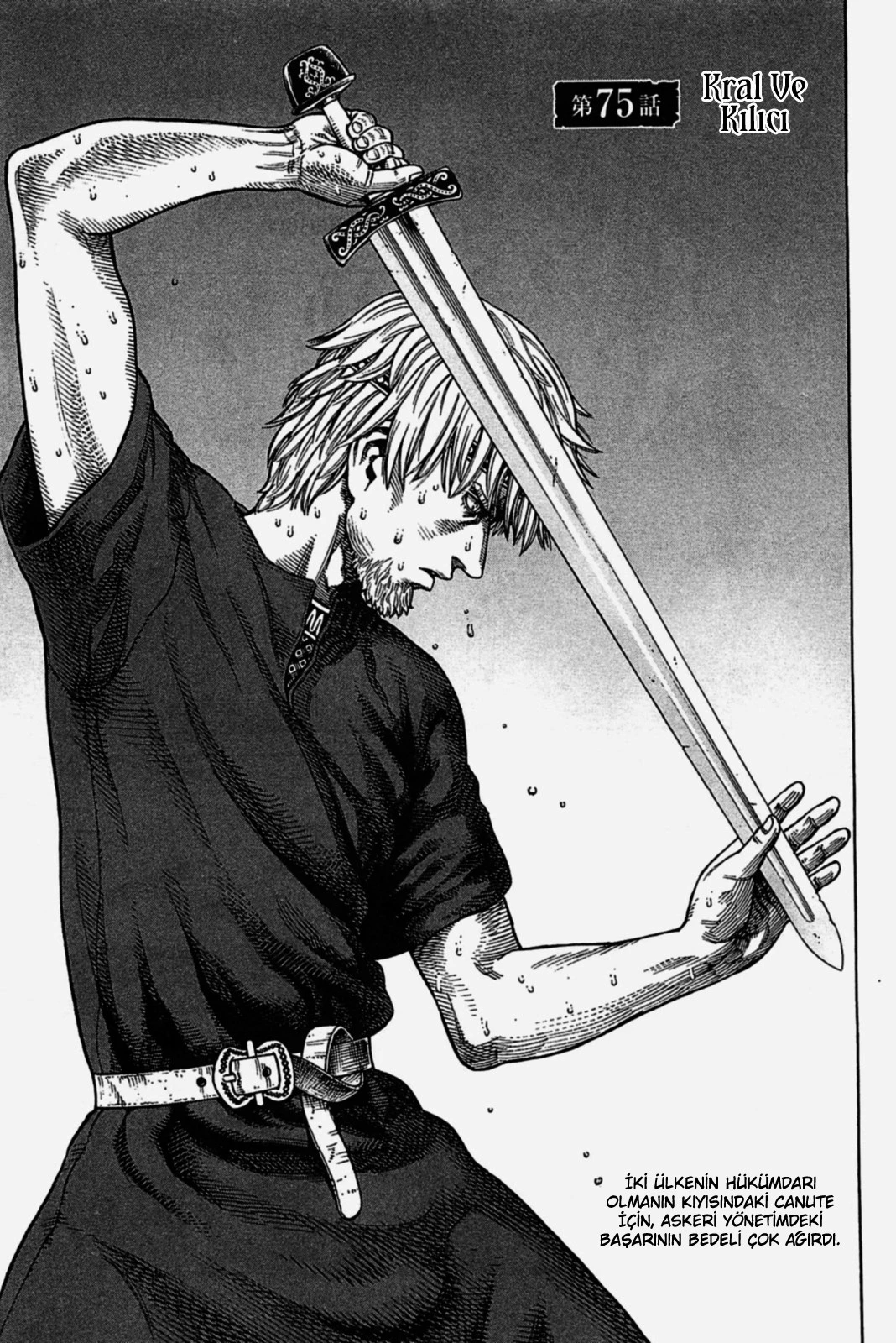 Read Vinland Saga TR Manga Online