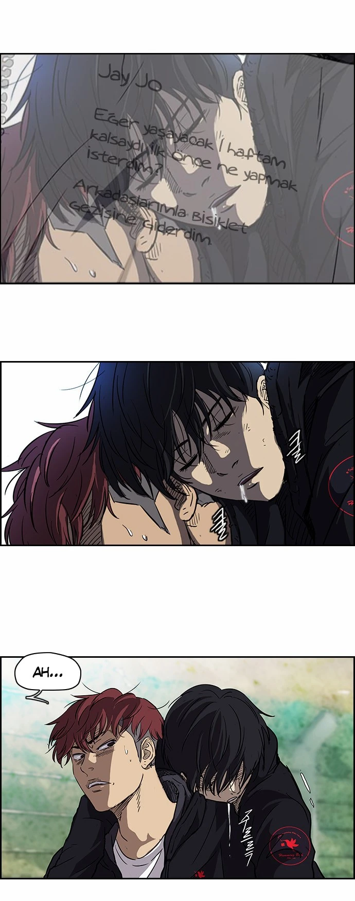 Read Wind Breaker TR Manga Online