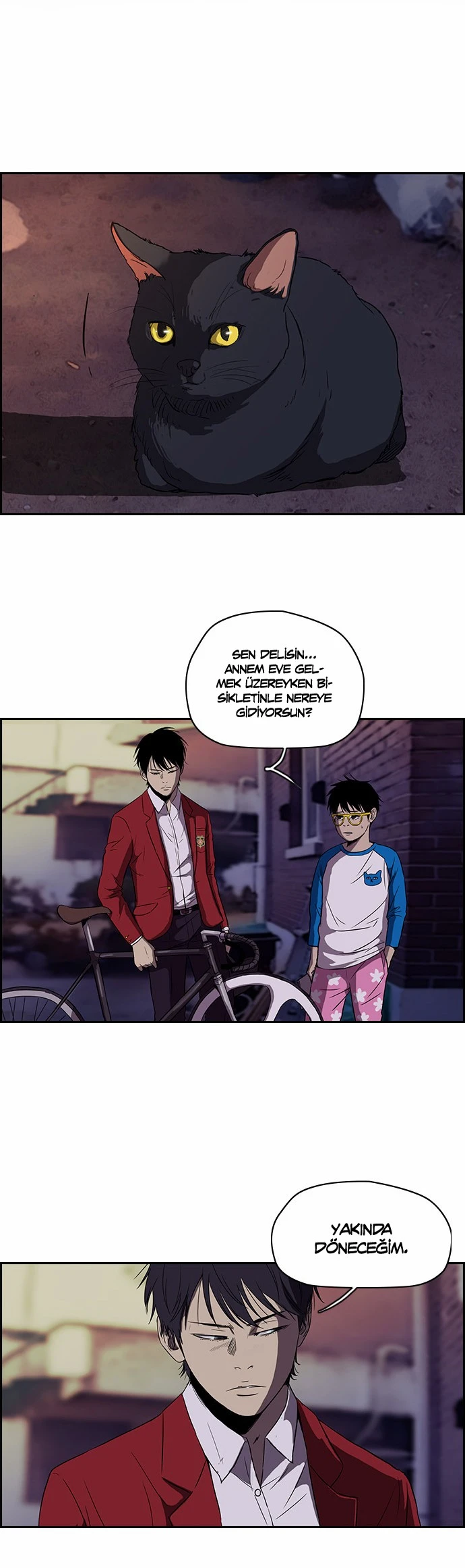 Read Wind Breaker TR Manga Online