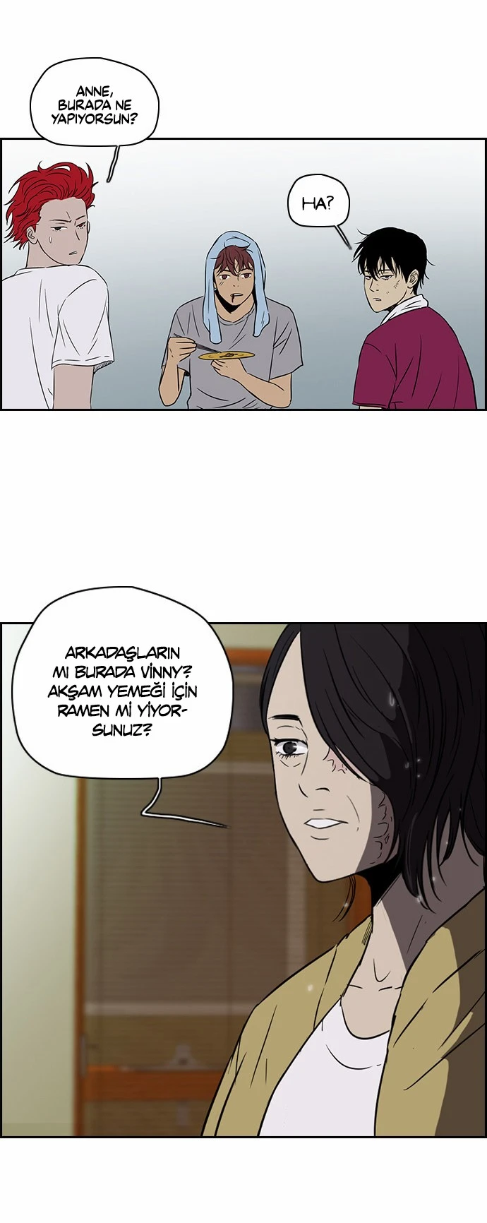Read Wind Breaker TR Manga Online